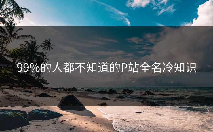 99%的人都不知道的P站全名冷知识
