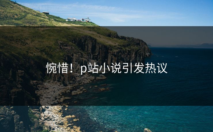 惋惜！p站小说引发热议