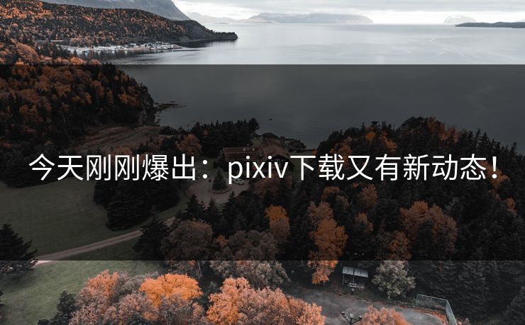 今天刚刚爆出：pixiv下载又有新动态！