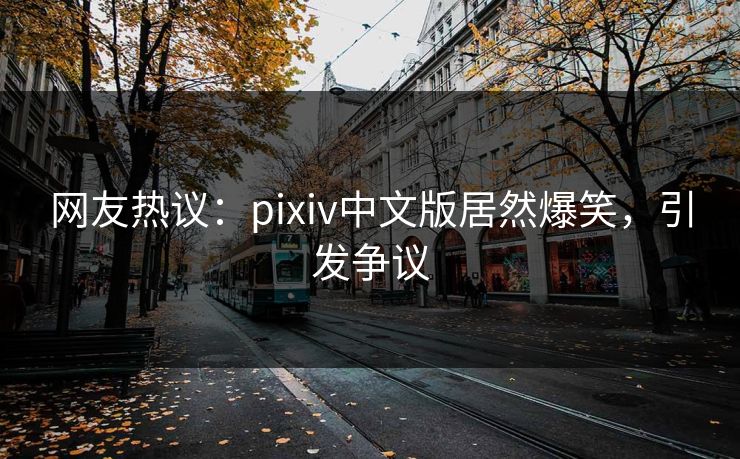 网友热议：pixiv中文版居然爆笑，引发争议