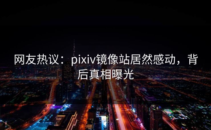 网友热议：pixiv镜像站居然感动，背后真相曝光