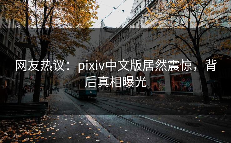 网友热议：pixiv中文版居然震惊，背后真相曝光