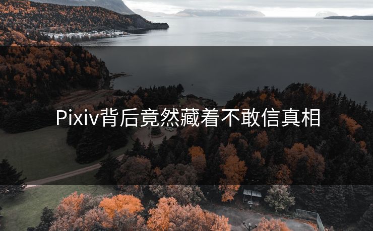 Pixiv背后竟然藏着不敢信真相