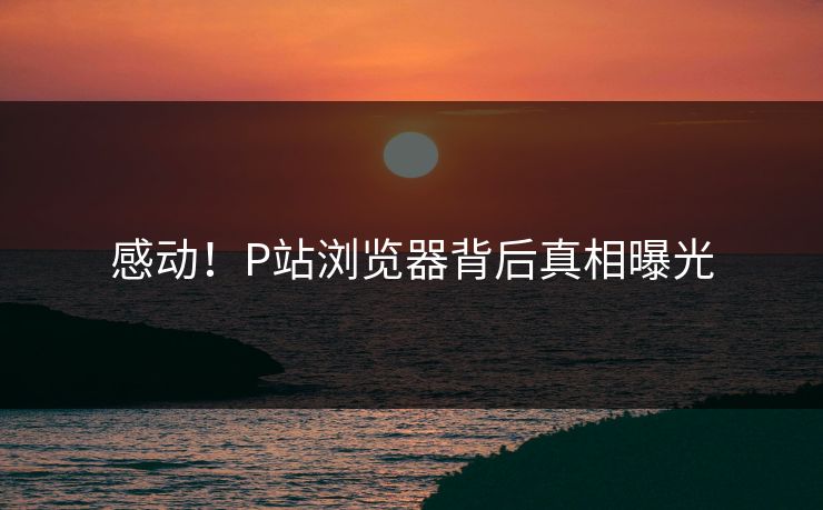 感动！P站浏览器背后真相曝光