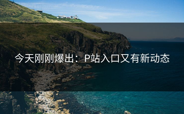 今天刚刚爆出：P站入口又有新动态