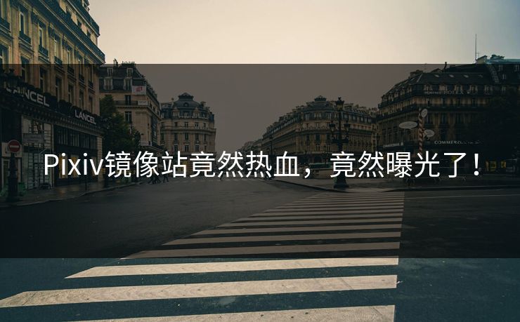 Pixiv镜像站竟然热血，竟然曝光了！