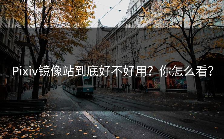 Pixiv镜像站到底好不好用？你怎么看？
