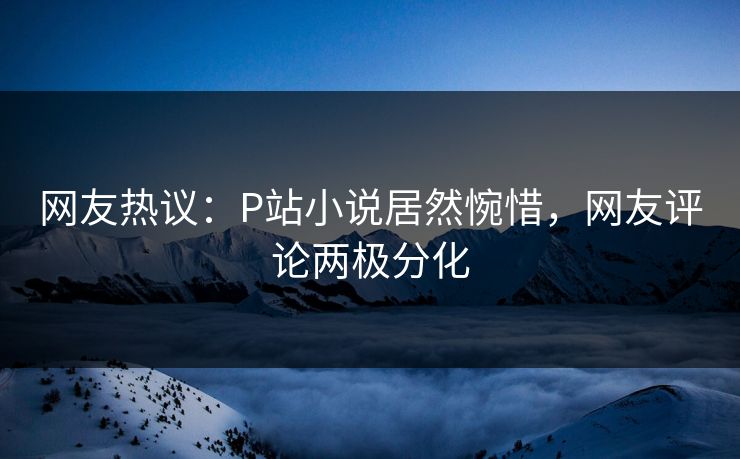 网友热议：P站小说居然惋惜，网友评论两极分化