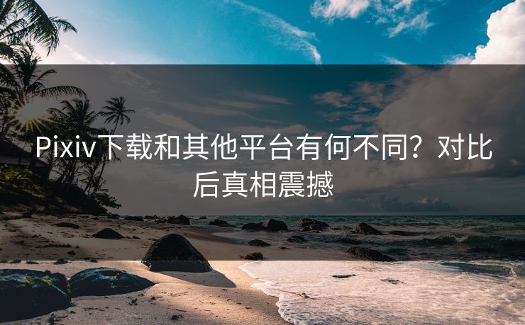 Pixiv下载和其他平台有何不同？对比后真相震撼